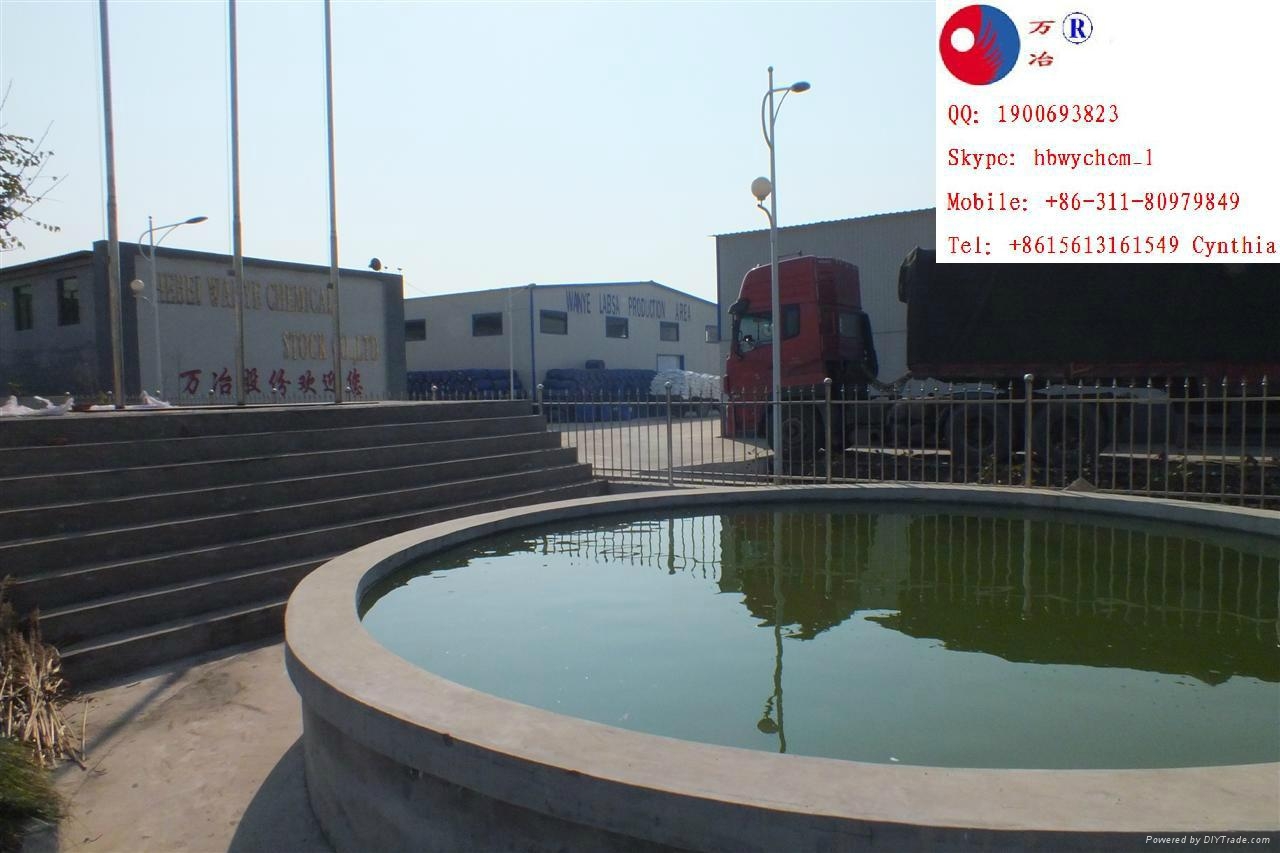 Hebei Wanye Chemical Stock Limited Corporation (China Manufacturer