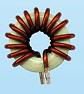 T80-52 13uh 10A Power Choke Inductor