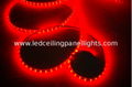 Red Outdoor RGB  LED Strip Light for Petrol Station Pooling IP68 5050SMD 3