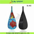 New Graphics Stand Up Paddle 1