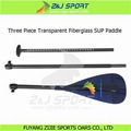 3 Piece Transparent Stand Up Paddle 1