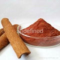 cinnamon bark extracts 4