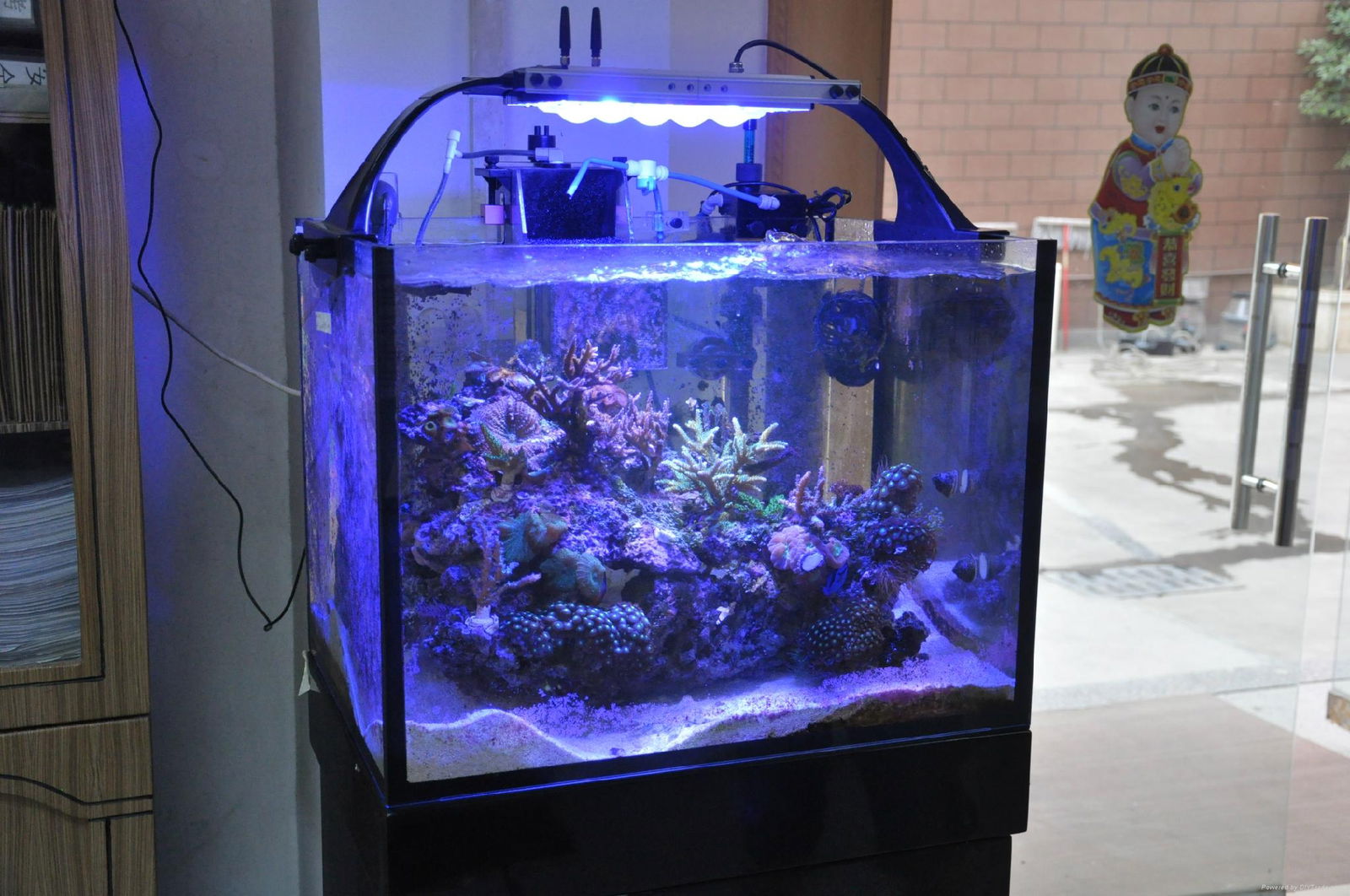 new arrival best selling professional design led lights aquarium reef 2