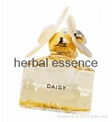 herbal daisy perfume