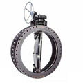 REDUCER ECCENTTRIC FLANGE BUTTERFLY VALVE 2