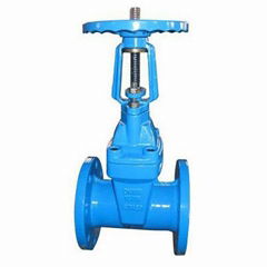 BS5163/GB Ring stem Gate Valve