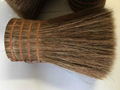 Horse Root Tail Hair 3