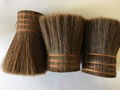 Horse Root Tail Hair 4