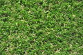 2015 Outdoor landscaping green colour artificial grass CE ,SGS 3