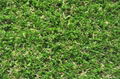 2015 Outdoor landscaping green colour artificial grass CE ,SGS 5