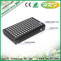 Chinese Cheap Cob 98x3w 196x3w 294x3w Full Spectrum  LED Grow Light For Plant   4