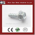 Hex Head Self Tapping Screw 1