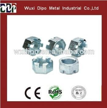 Hexagon Slotted Nut