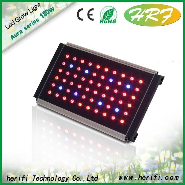 Herifi 60x3w AU001 hydroponic full spectrum LED grow Light 2