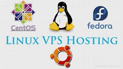 Linux VPS Hosting