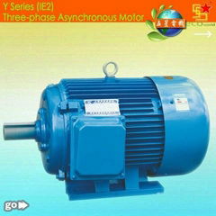 Y series AC motors