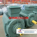 Y series AC motors 3