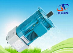 YZE Construction Hoist Motor