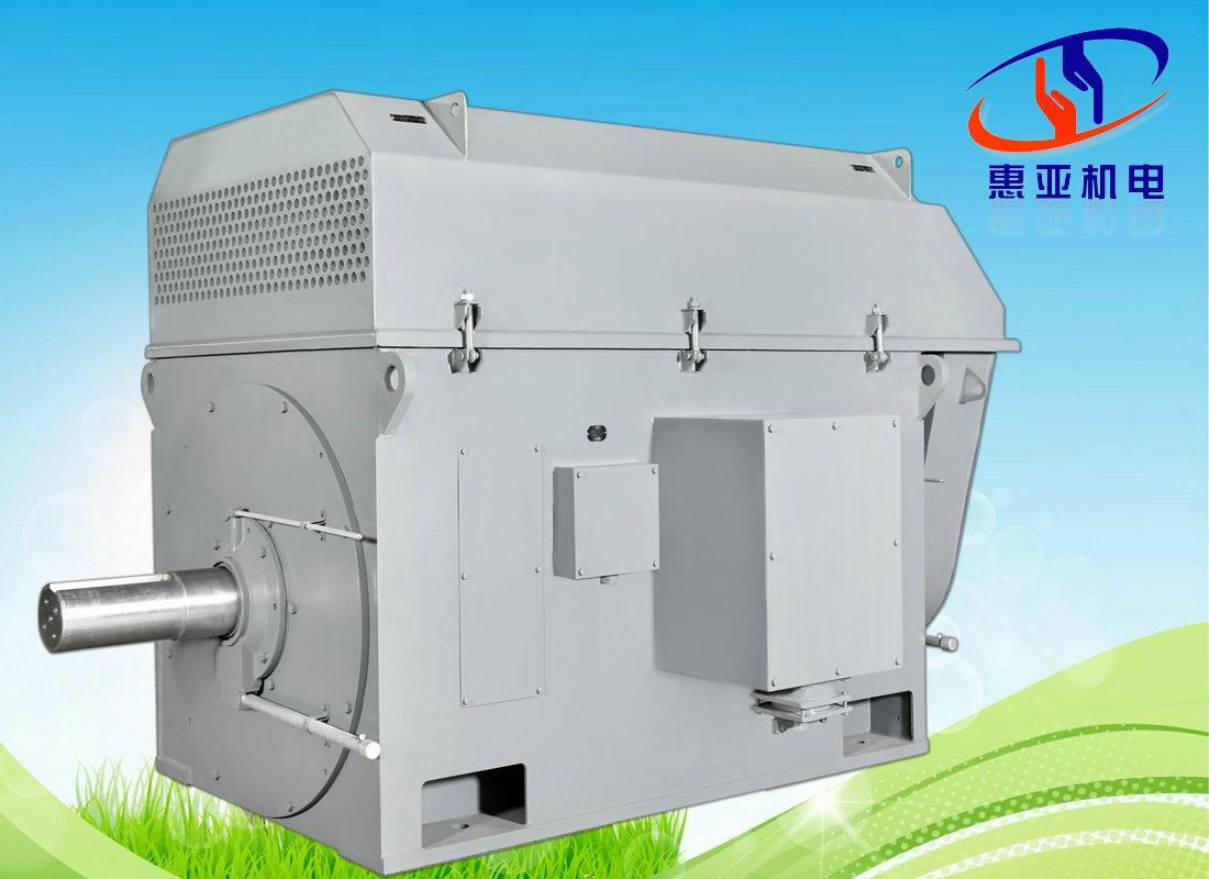 High Voltage Large Power  Induction Motor