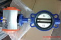 Butterfly Valve 2