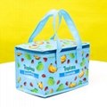 Non woven insulated custom promotional cooler bag 3
