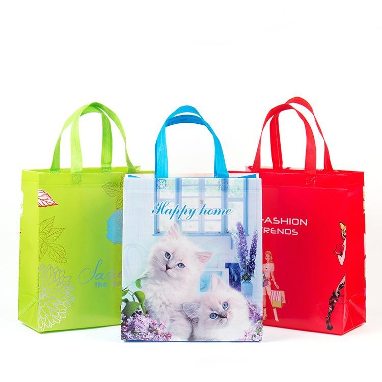Resuable custom low price promotional pp non woven bag 4