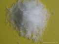 calcium nitrate