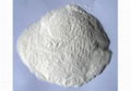 Sodium Carboxymethyl Cllulose