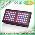  Indoor Hydroponic grow light led light 1