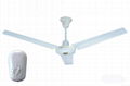 CEILING FAN 1