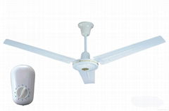 CEILING FAN