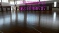供應運動地板  籃球館地板