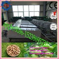 2016 new product green fresh walnut peeling machine 2