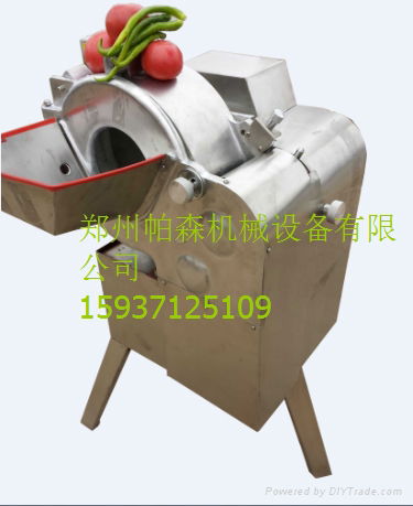 vegetable and fruit dicing machine