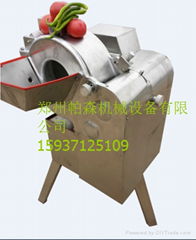 vegetable and fruit dicing machine