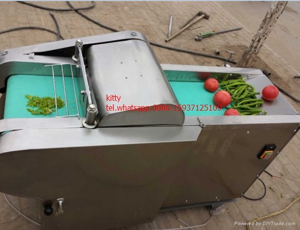 Multi-functional vegetable and fruit cutting machine 2