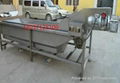 air bubble type vegetable washing machine 2