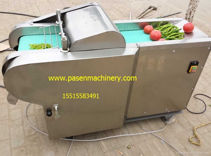 Multi-functional vegetable and fruit cutting machine 3