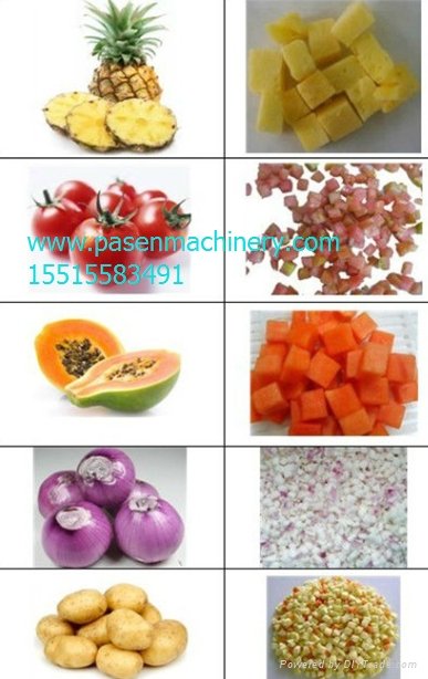 vegetable and fruit dicing machine 3