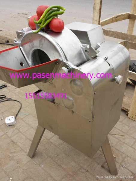 vegetable and fruit dicing machine 4