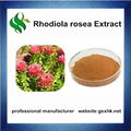 High Quality Rhodiola Rosea Extract