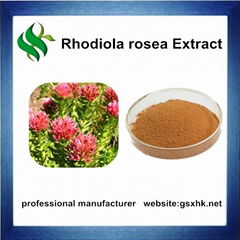 High Quality Rhodiola Rosea Extract