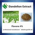 100% Pure Natural Dandelion Extract
