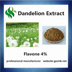 100% Pure Natural Dandelion Extract