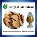 High Quality Tongkat Ali Extract