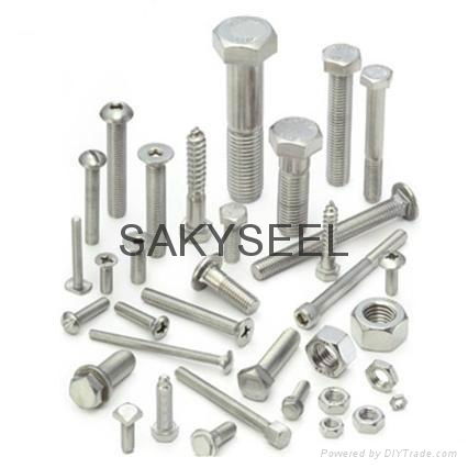 304 stainless steel bolt and nuts