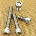 304 stainless steel bolt and nuts 3