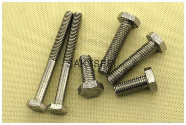 304 stainless steel bolt and nuts 4