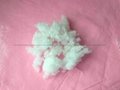 Dongguan manufacturers supply pillow fillers pearl cotton 4