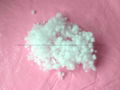 Dongguan manufacturers supply pillow fillers pearl cotton 5